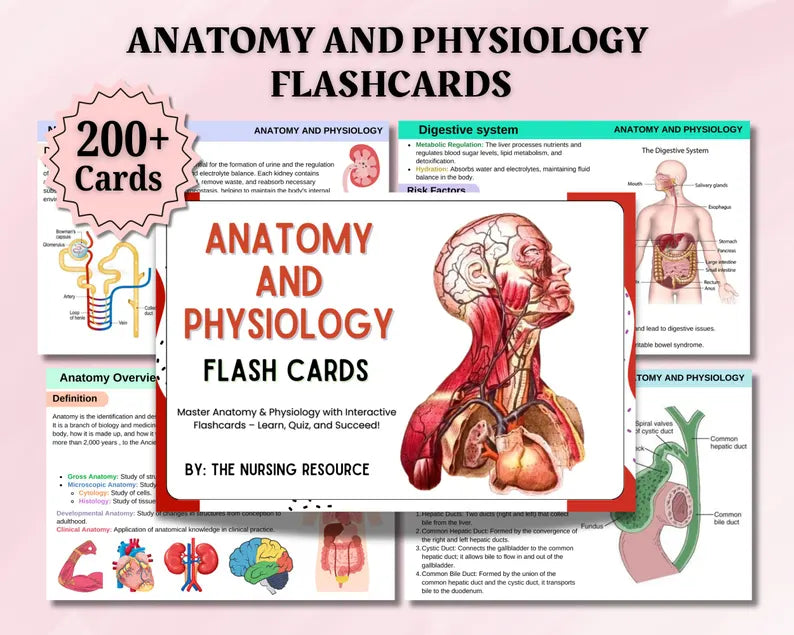 Anatomy & Physiology Study Guide Mega Bundle – Nursing Notes Pack