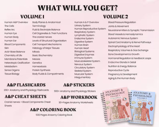 Anatomy & Physiology Study Guide Mega Bundle – Nursing Notes Pack