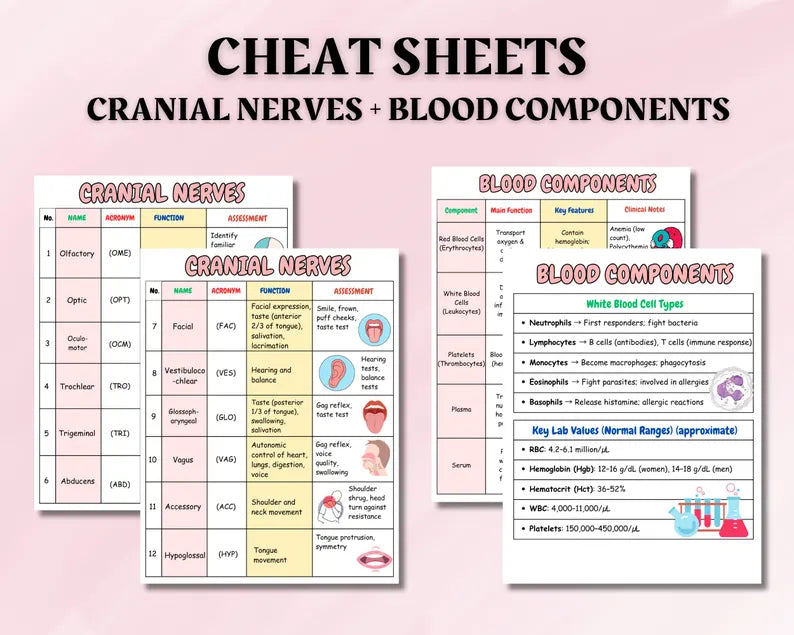 Anatomy & Physiology Study Guide Mega Bundle – Nursing Notes Pack