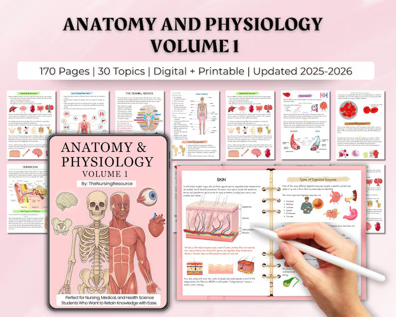 Anatomy & Physiology Study Guide Mega Bundle – Nursing Notes Pack