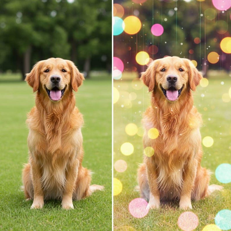 150,000 Adobe Lightroom Presets Bundle — Ultimate Photo Editing Pack