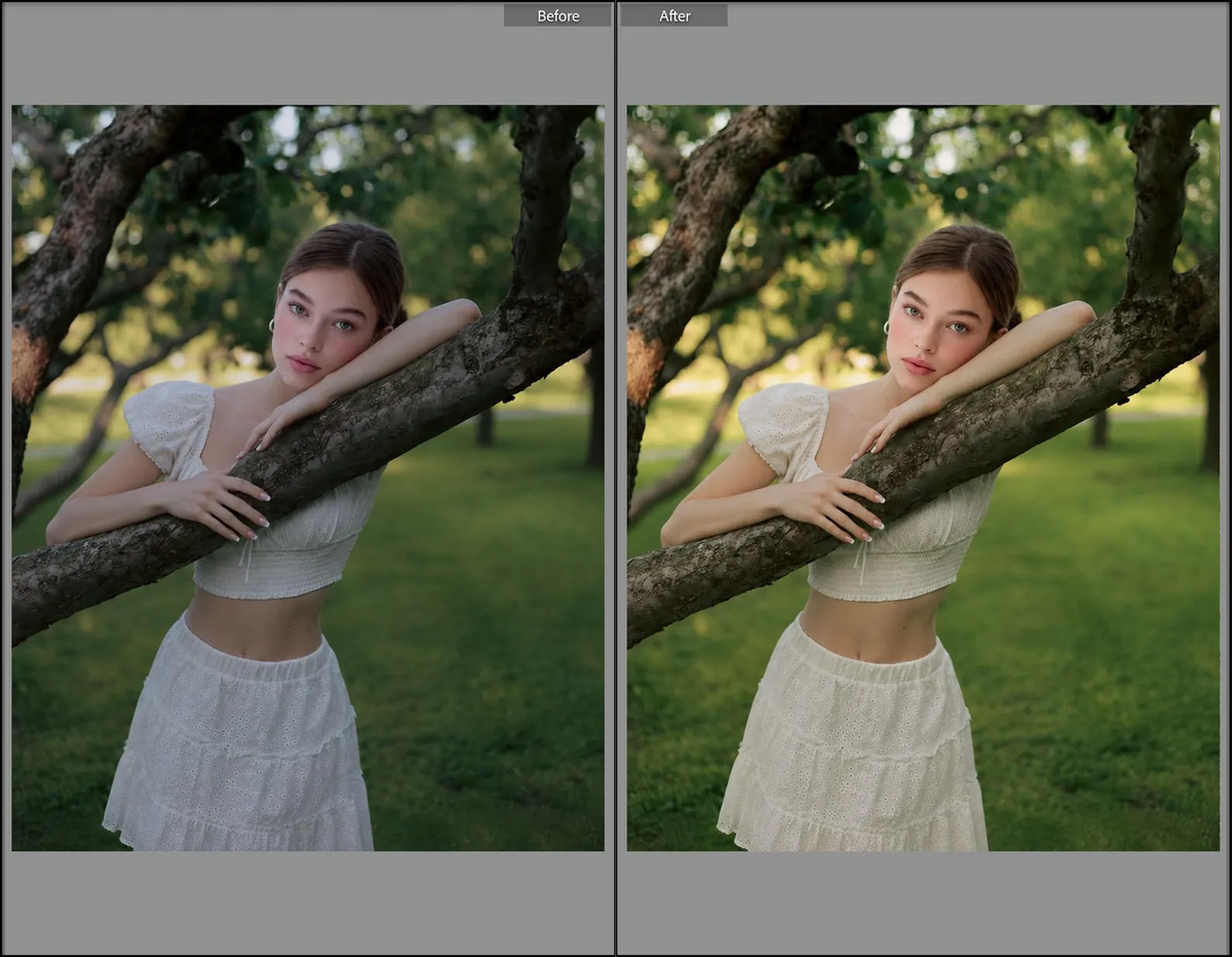 Outdoor Lightroom presets before and after example 9