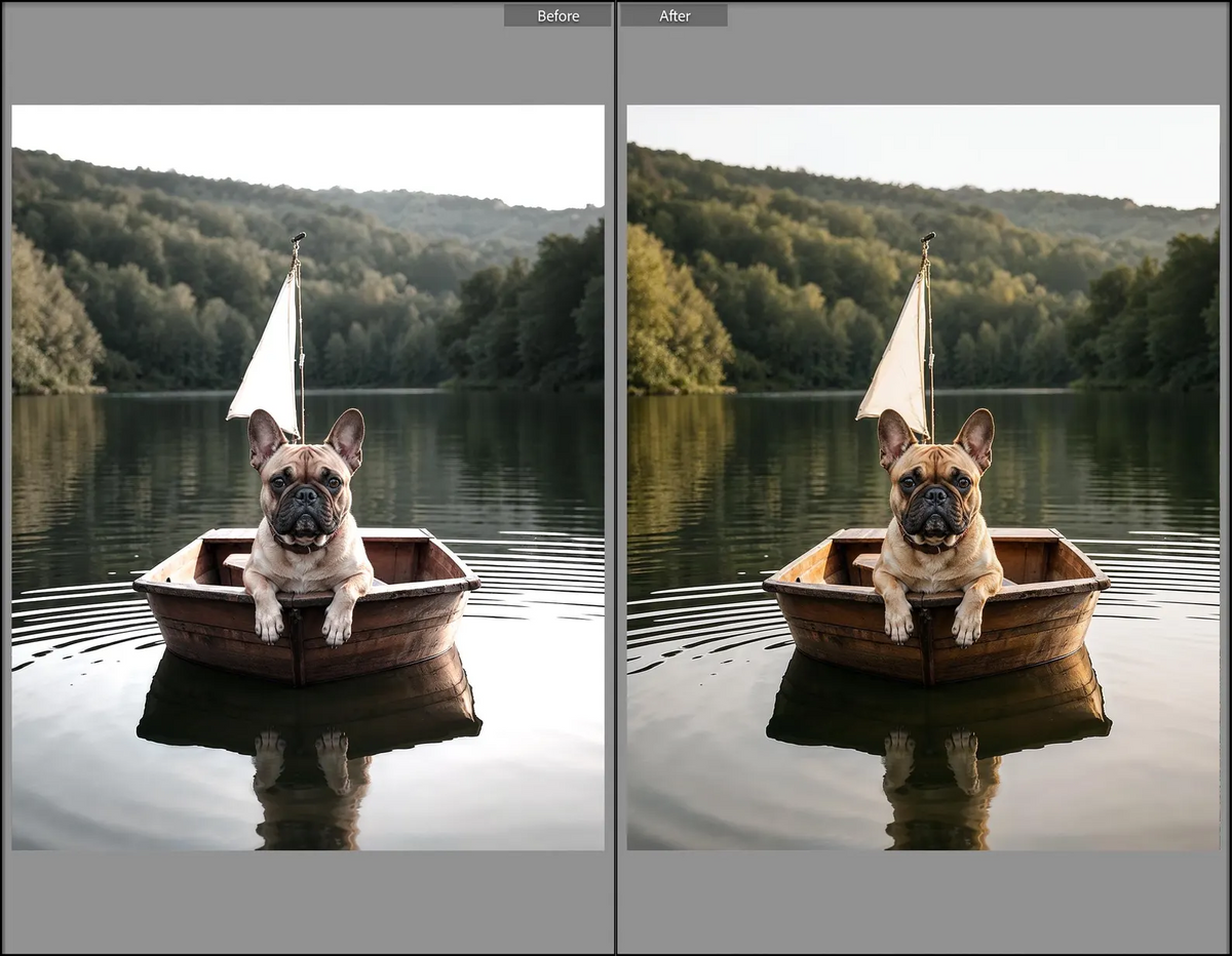 Outdoor Lightroom presets before and after example 11
